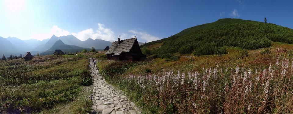 Paesaggio natura selvaggia
 a piedi