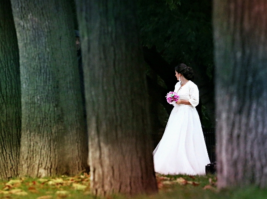 Nature forest woman flower Photo