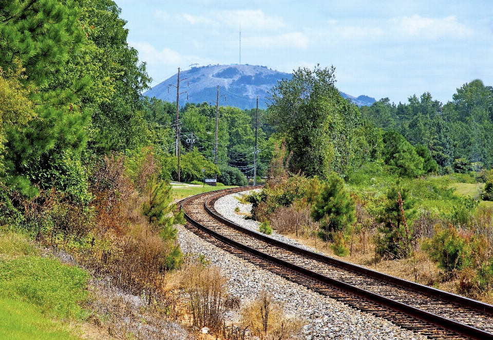 Wald schiene eisenbahn straße