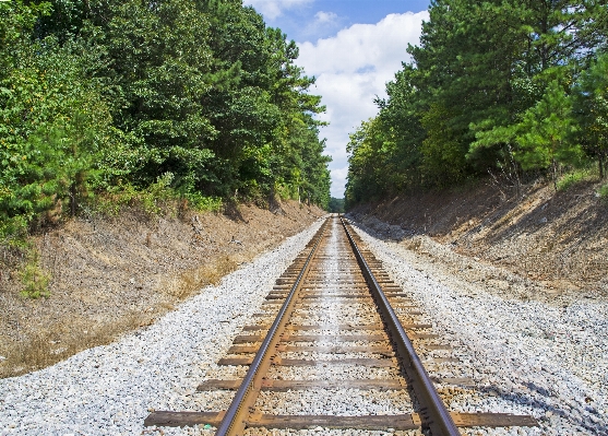 Track railway railroad road Photo