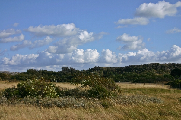 Landscape sea coast nature Photo