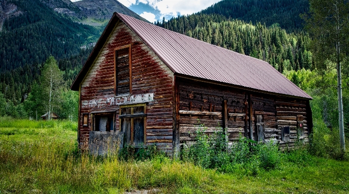 Landscape nature forest wilderness Photo