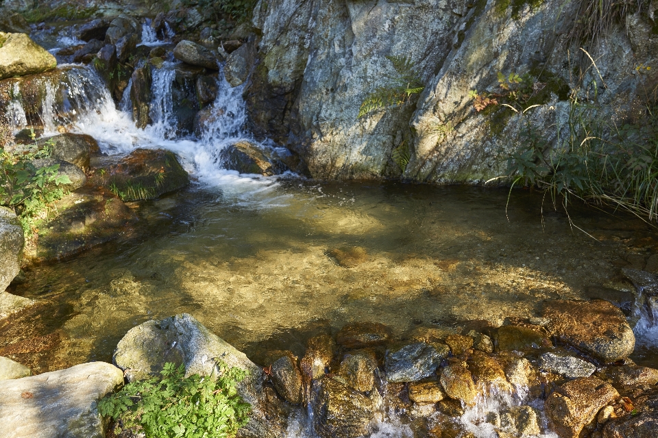 Water nature forest rock