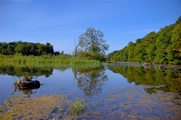 Landscape tree water nature Photo