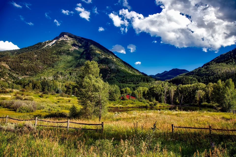 Landscape nature forest wilderness