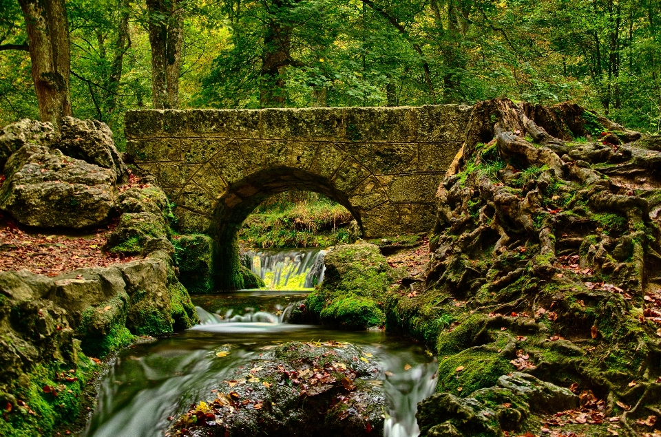 Paisagem árvore água natureza