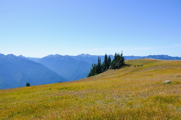 Landscape nature grass horizon Photo