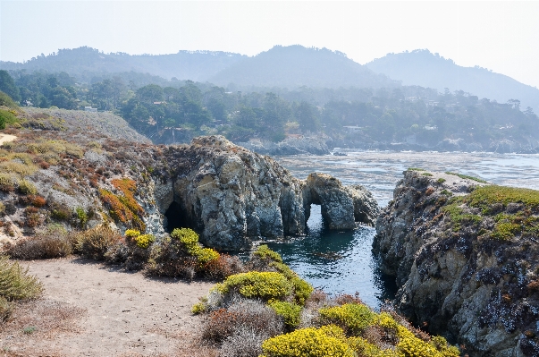 景观 海 海岸 水 照片