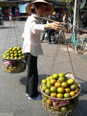 Plant fruit flower city Photo