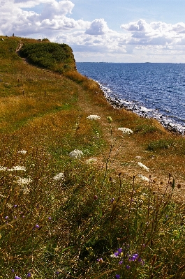 Beach landscape sea coast Photo