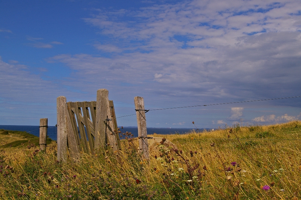 Strand landschaft meer küste