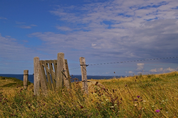 Beach landscape sea coast Photo