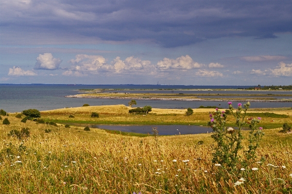 Beach landscape sea coast Photo