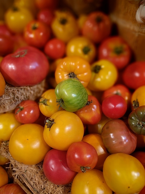 Anlage frucht essen grün