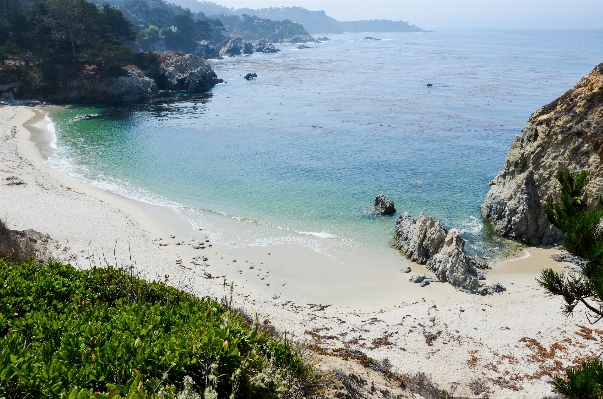 Beach landscape sea coast Photo