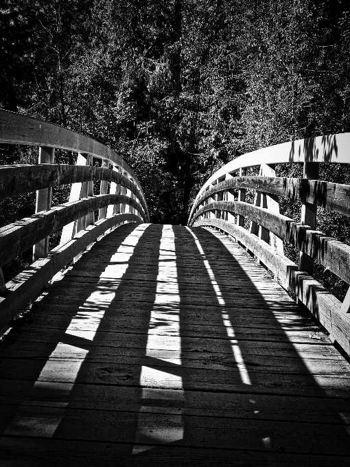 Leggero bianco e nero
 ponte