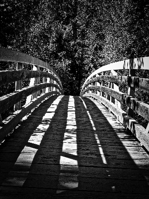 Light black and white bridge Photo