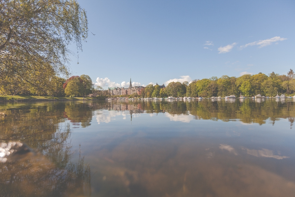 Landschaft meer baum wasser