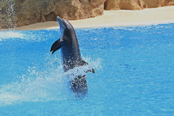 Sea water jumping pool Photo