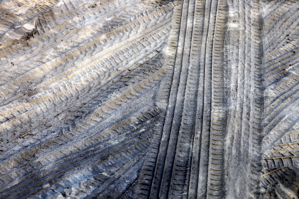 Nature forest sand structure Photo