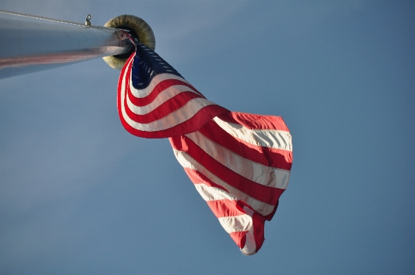 Bird wing red flag Photo