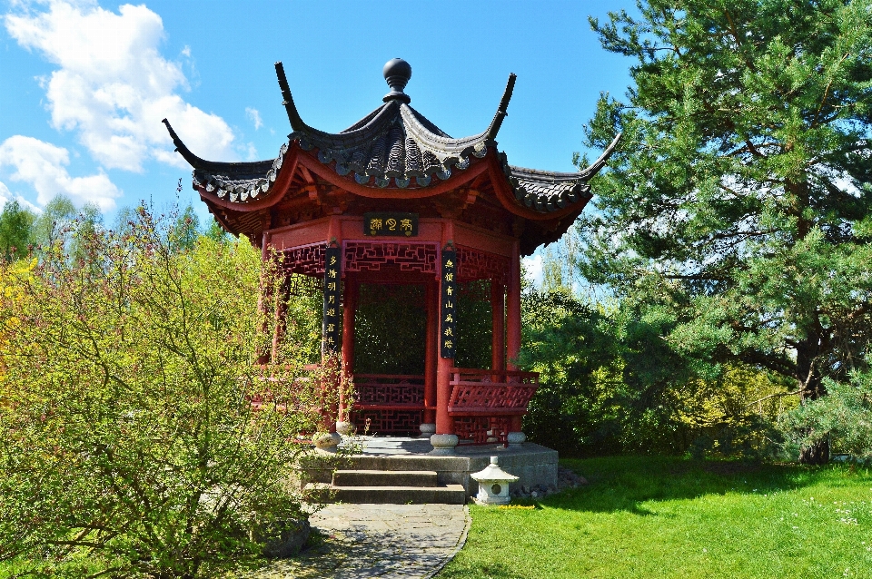 花 建物 タワー 公園