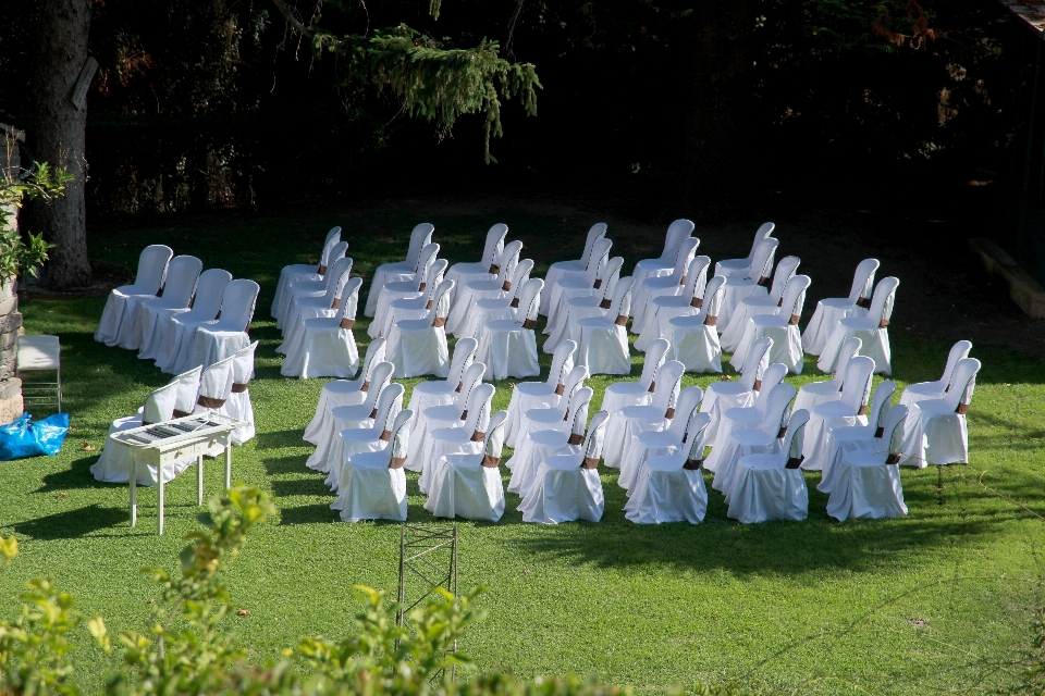 Blume sitz publikum gemeinschaft