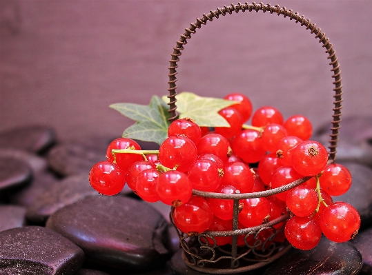 Plant raspberry fruit berry Photo