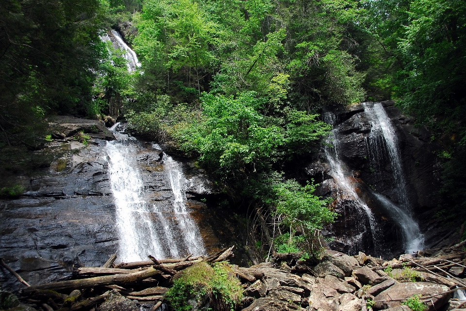 Water nature forest outdoor