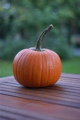 Foto Laranja produzir outono abóbora