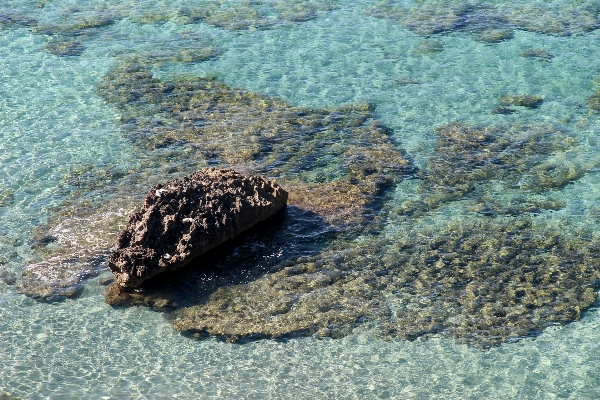 海 水 rock 波 写真