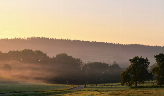 Landscape tree nature horizon Photo