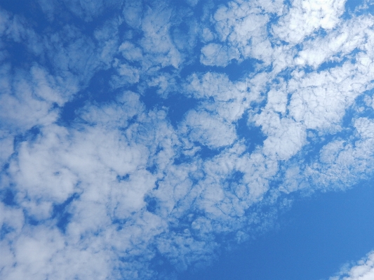 Nature light cloud sky Photo