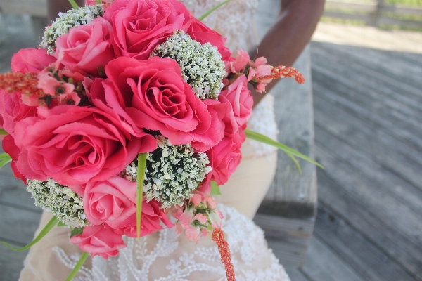 Plant ring flower petal Photo