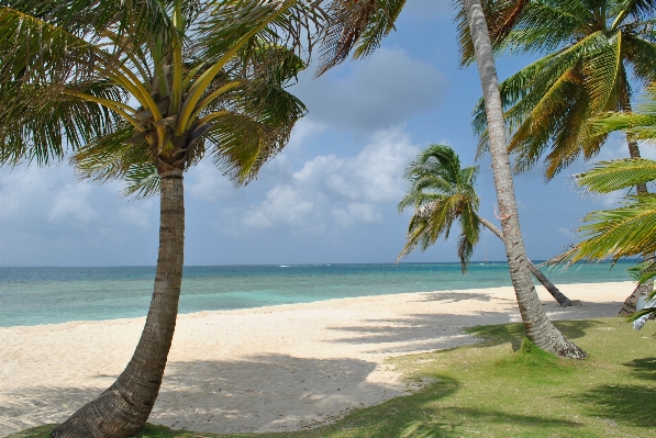 Strand landschaft meer küste Foto