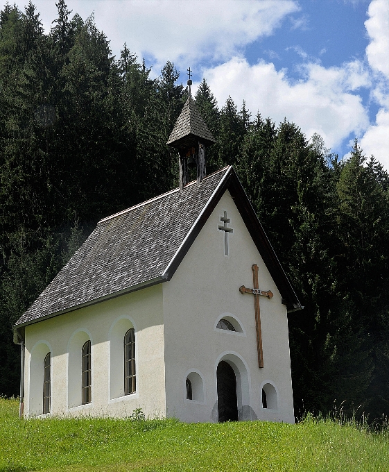 Natura las gospodarstwo rolne łąka
