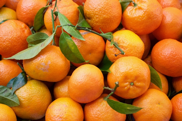 Plant fruit orange food Photo