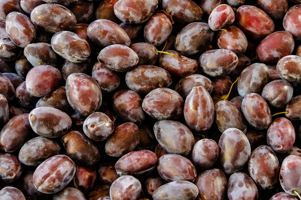 植物 フルーツ 甘い 食べ物