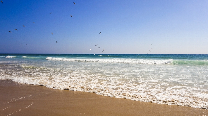 Foto Spiaggia mare costa sabbia