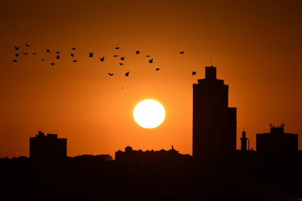 Horizont silhouette himmel sonne