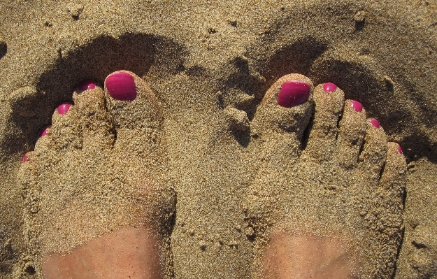 Beach nature sand sun Photo