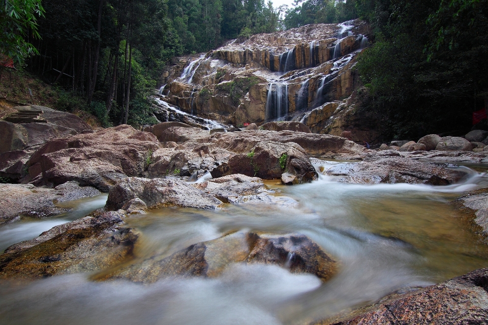 Landscape water nature forest