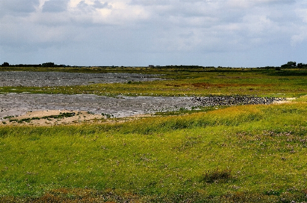 Photo Paysage mer côte nature