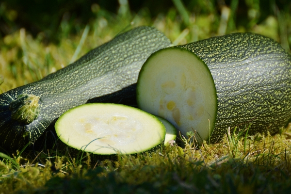 Foto Natureza grama plantar fruta