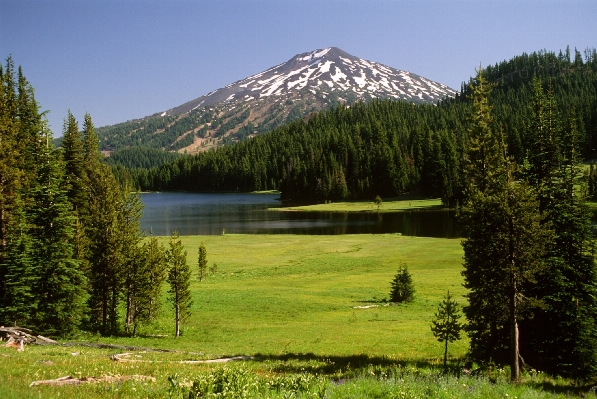 Landscape tree water nature Photo