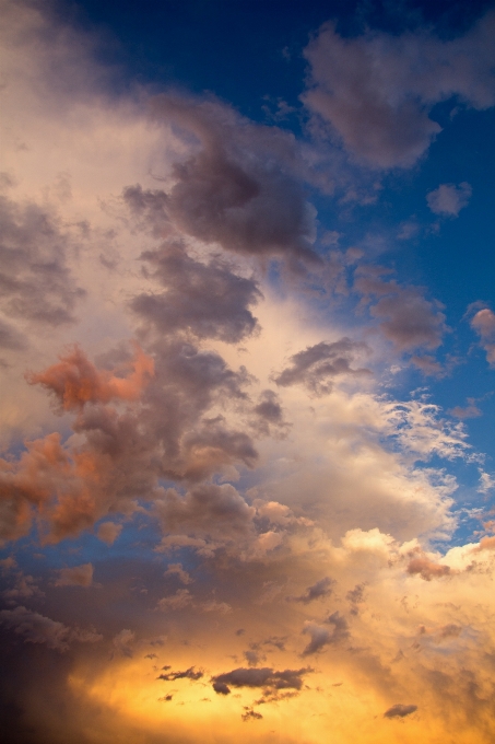 Horizont wolke himmel sonne