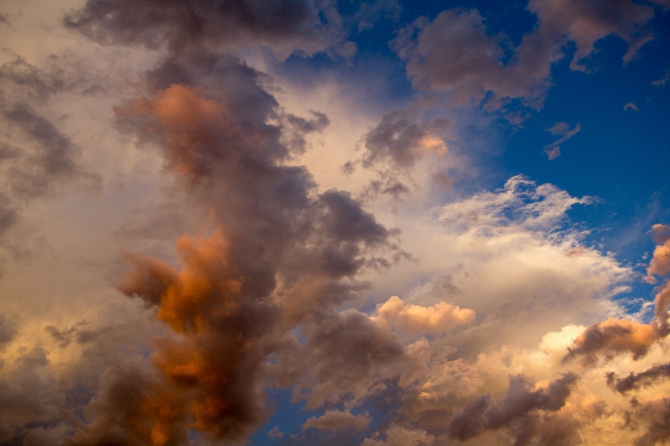 Cloud sky sunset sunlight