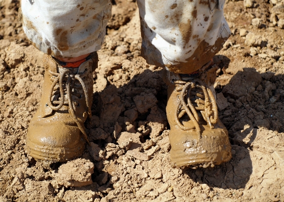 Sand wood hiking mud Photo