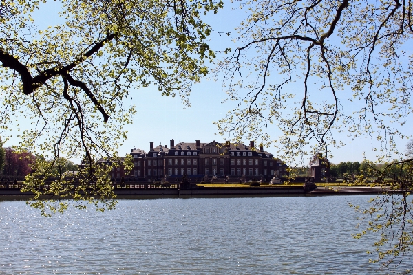 Tree water blossom architecture Photo