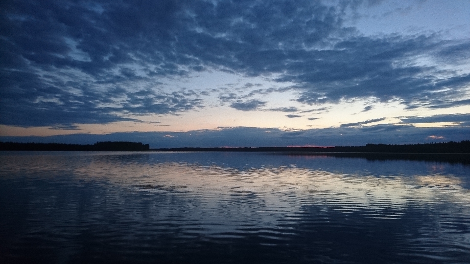 風景 海 海岸 水